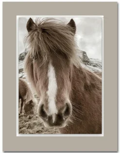 Outlet Acrylglasbild ALUDIBOND Acrylbilder|Metallbilder