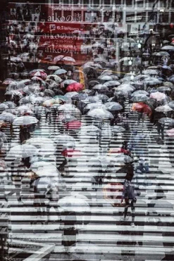 Online Acrylglasbild auf Aludibond Acrylbilder|Metallbilder