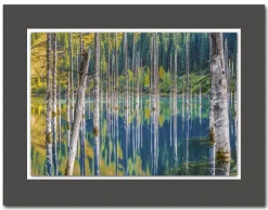 New Acrylglasbild DAVID KÖSTER Acrylbilder|Glasbilder