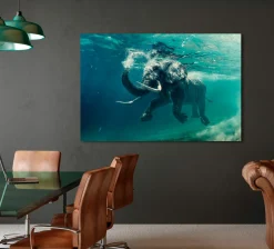 Clearance Acrylglasbild ELEFANT Acrylbilder|Glasbilder