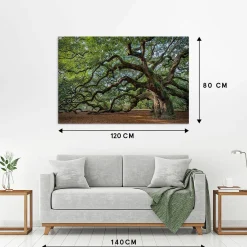 Best Acrylglasbild FASZINATION BAUM Acrylbilder|Glasbilder