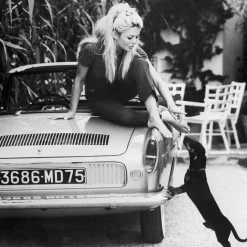 Hot Acrylglasbild Icons Acrylbilder