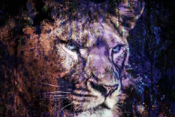 Best Acrylglasbild LÖWE IN BLAU Acrylbilder|Glasbilder