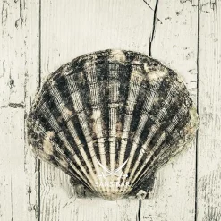 Best Acrylglasbild Living Acrylbilder