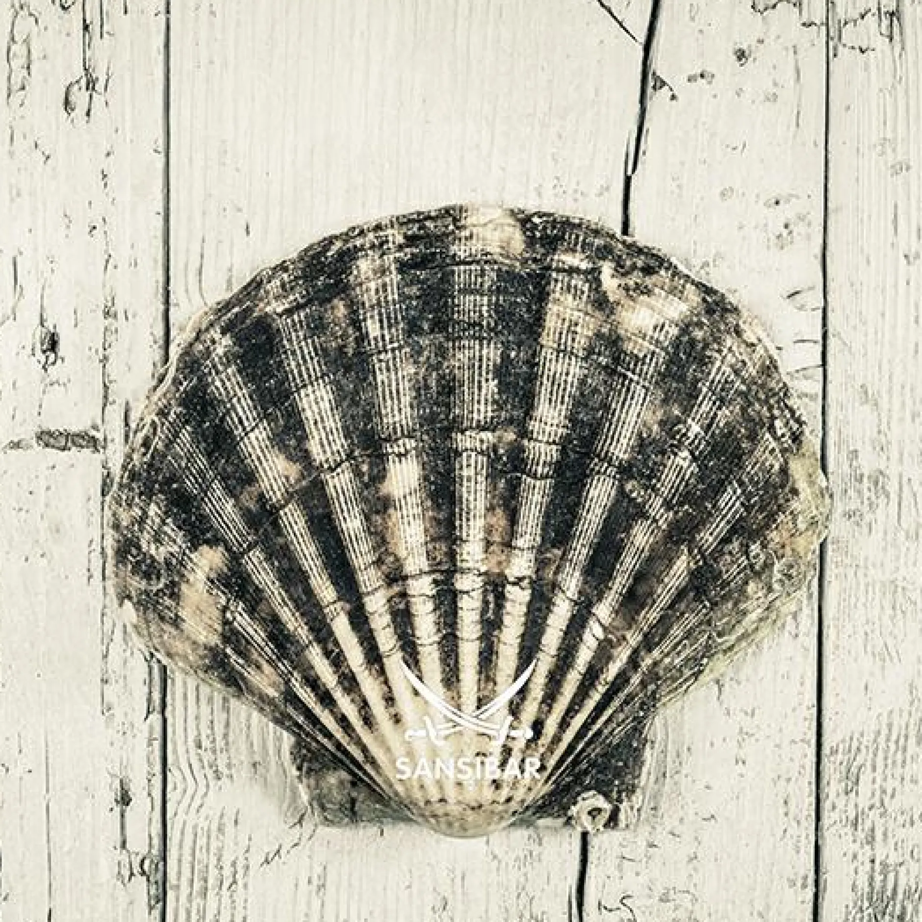 Best Acrylglasbild Living Acrylbilder