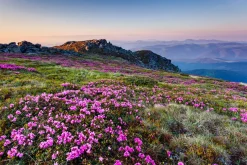 Akustikbild ALPENLANDSCHAFT Akustikbilder