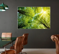 Best Akustikbild BAUMKRONE 3 Akustikbilder