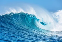 Clearance Akustikbild DIE WELLE Akustikbilder