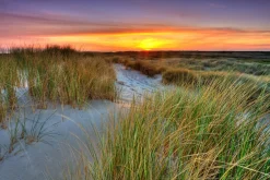 Best Akustikbild DÜNENLANDSCHAFT Akustikbilder