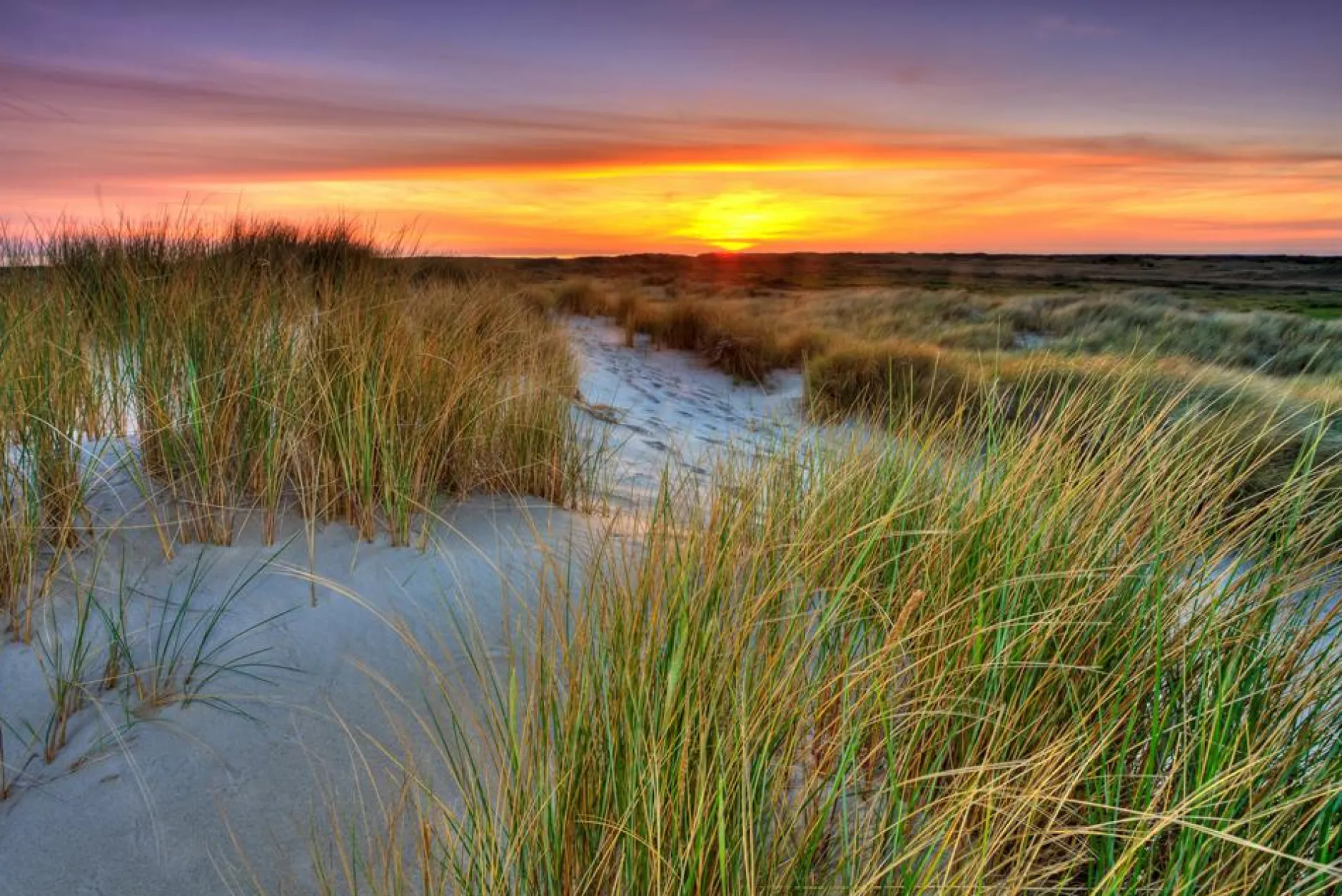 Best Akustikbild DÜNENLANDSCHAFT Akustikbilder