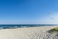Best Akustikbild EINSAMER STRAND Akustikbilder