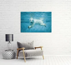 Sale Akustikbild EISBÄR Akustikbilder