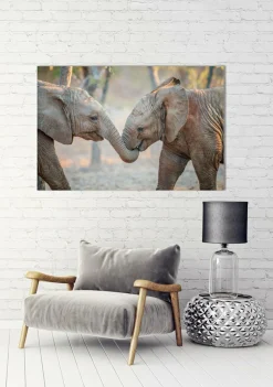 Sale Akustikbild ELEFANTENKINDER Akustikbilder