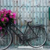 Akustikbild FAHRRAD BLUMENDEKO Akustikbilder