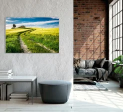 Sale Akustikbild FELDWEG Akustikbilder