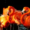 Clearance Akustikbild FLAMINGOS Akustikbilder
