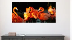 Clearance Akustikbild FLAMINGOS Akustikbilder
