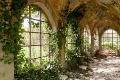 Hot Akustikbild FLUR Akustikbilder