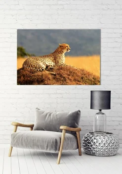 Clearance Akustikbild GEPARD Akustikbilder