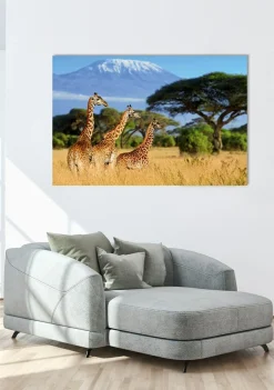 Best Akustikbild GIRAFFEN Akustikbilder