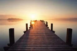 Sale Akustikbild HOLZSTEG Akustikbilder