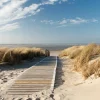 New Akustikbild HOLZWEG ZUM MEER 1 Akustikbilder