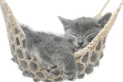 Akustikbild KÄTZCHEN Akustikbilder