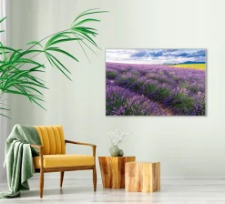 New Akustikbild LAVENDELFELD 7 Akustikbilder