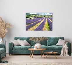 New Akustikbild LAVENDELFELD 3 Akustikbilder