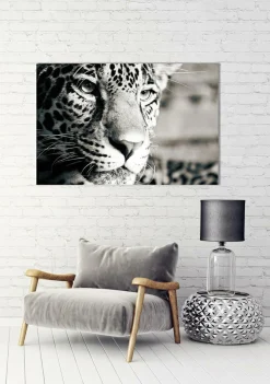 New Akustikbild LEOPARD Akustikbilder