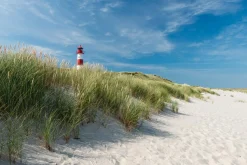 Akustikbild LEUCHTTURM Akustikbilder