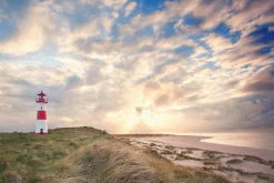 Clearance Akustikbild LEUCHTTURM 2 Akustikbilder