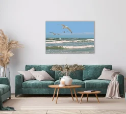 Clearance Akustikbild MÖWEN Akustikbilder