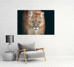 New Akustikbild PUMA Akustikbilder