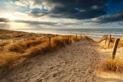 Sale Akustikbild SANDWEG ZUM MEER 3 Akustikbilder