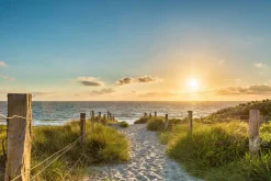 Sale Akustikbild STRAND Akustikbilder