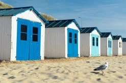Clearance Akustikbild STRANDHÄUSER Akustikbilder
