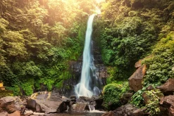Sale Akustikbild WASSERFALL Akustikbilder