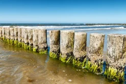 Clearance Akustikbild WELLENBRECHER 4 Akustikbilder