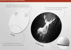 Hot Aludibondbild GREY DEER HEAD I Metallbilder