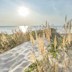 Discount Aludibondbild LOOK Metallbilder