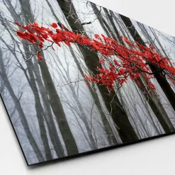 Hot Aludibondbild MYSTIC TREES II Metallbilder