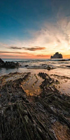 New Aludibondbild NATURE MOTIVE I Metallbilder|Kunstdrucke