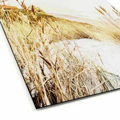 Outlet Aludibondbild WILDERSTRAND Metallbilder