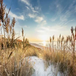 Clearance Aludibondbild WILDERSTRAND Metallbilder