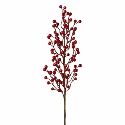 Beerenzweig Santa'S Village