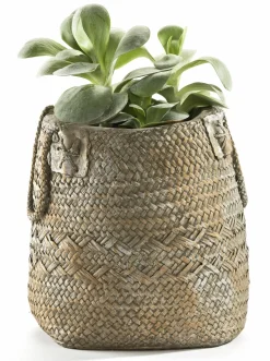 Übertopf Pflanz- Und Übertöpfe