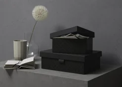 Outlet Box L CORNFLOWER Dosen & Boxen