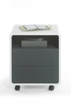 New Container TADEO Container|Container