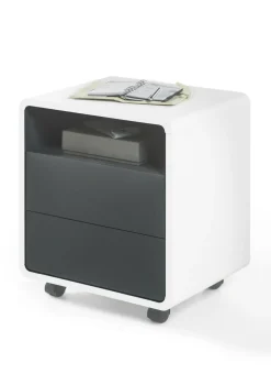 New Container TADEO Container|Container